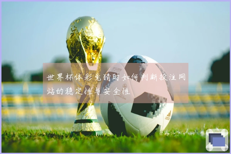 世界杯体彩竞猜时如何判断投注网站的稳定性与安全性