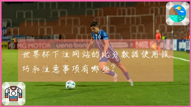 世界杯下注网站的比分数据使用技巧和注意事项有哪些?