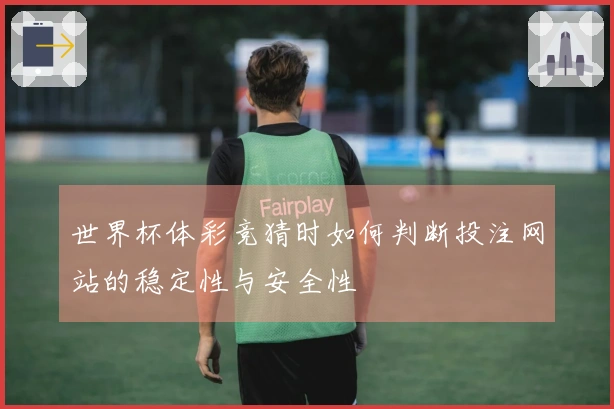 世界杯体彩竞猜时如何判断投注网站的稳定性与安全性