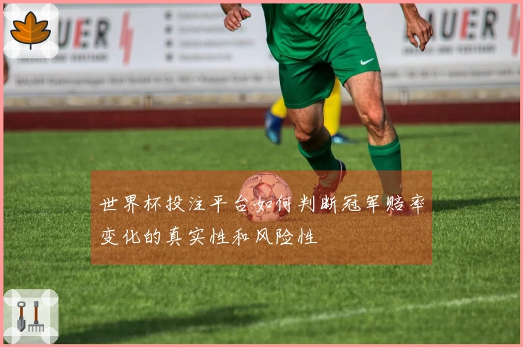世界杯投注平台如何判断冠军赔率变化的真实性和风险性