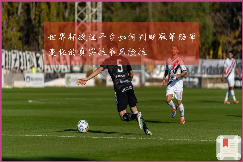 世界杯投注平台如何判断冠军赔率变化的真实性和风险性
