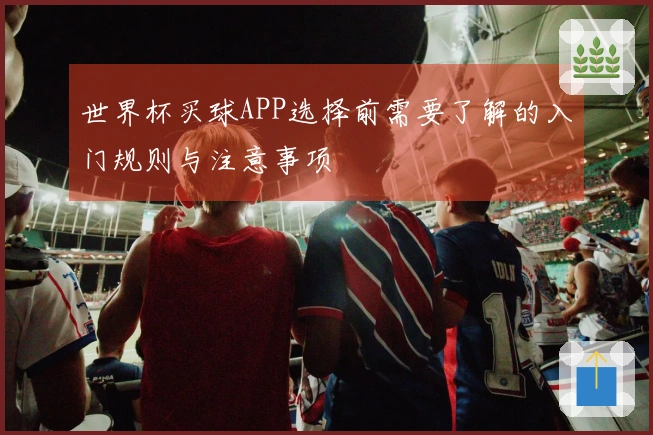 世界杯买球APP选择前需要了解的入门规则与注意事项