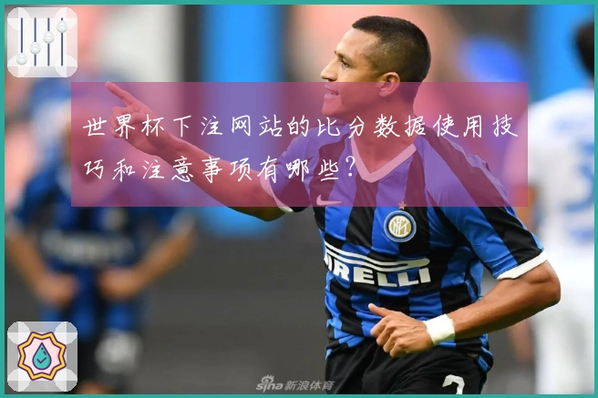 世界杯下注网站的比分数据使用技巧和注意事项有哪些？