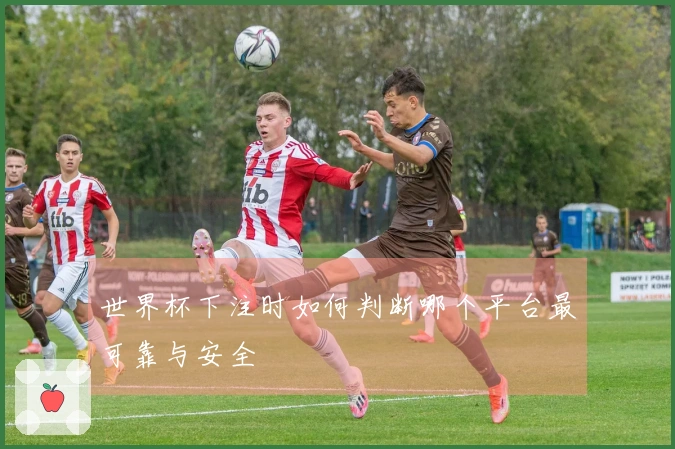 世界杯下注时如何判断哪个平台最可靠与安全
