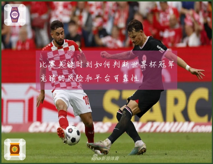 比赛关键时刻如何判断世界杯冠军竞猜的风险和平台可靠性